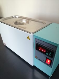 IMG 20191003 160655 resized 20191003 041514682