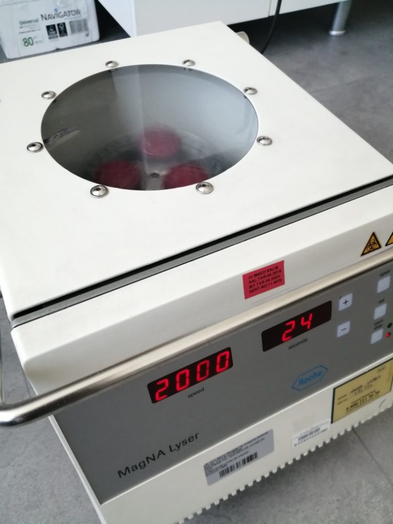 Magna Lyser Roche - Serlab Servis Laboratuvar Sistemleri